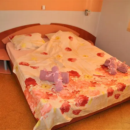 House Dimitrovi 게스트하우스