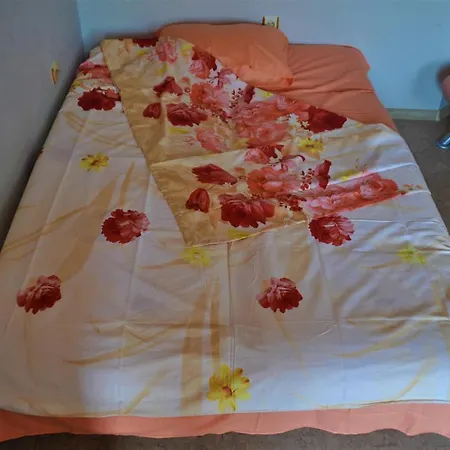 Guest house House Dimitrakievi