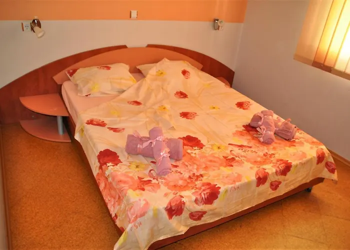 House Dimitrovi Πανσιόν